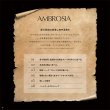 画像2: AMBROSIA アンブロシア サーモン&チキン 100g<br> [ キャットフード ドライフード アンブロシア グレインフリー ]